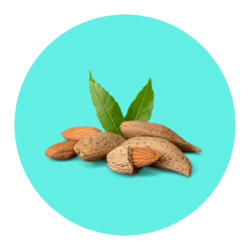 Almond